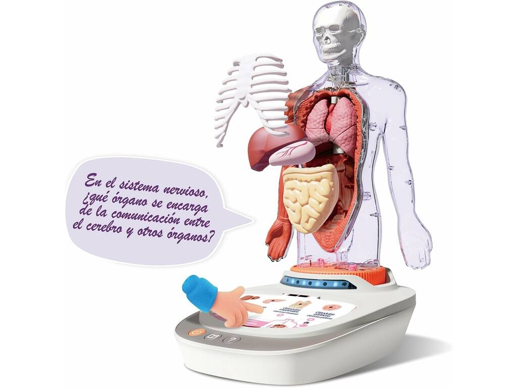 So Science Le corps humain interactif